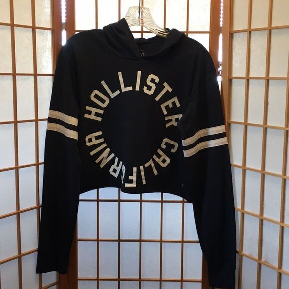 Hollister Graphic L/S Cropped Hoodie - Picture 1 of 8